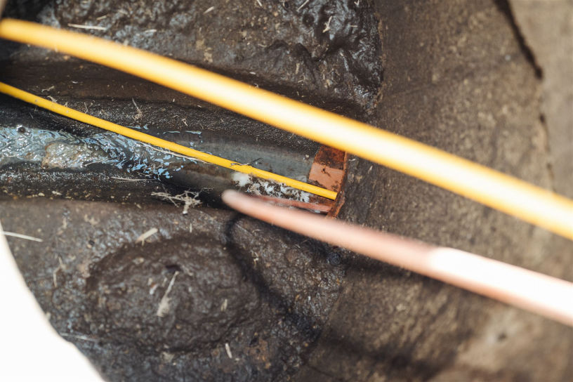 An image of a tree root being removed